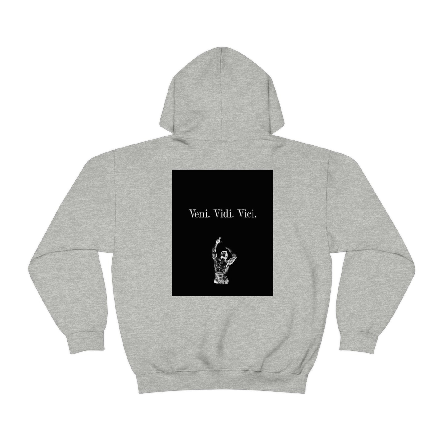 Veni. Vidi. Vici. AOC - Unisex Heavy Blend™ Hooded Sweatshirt