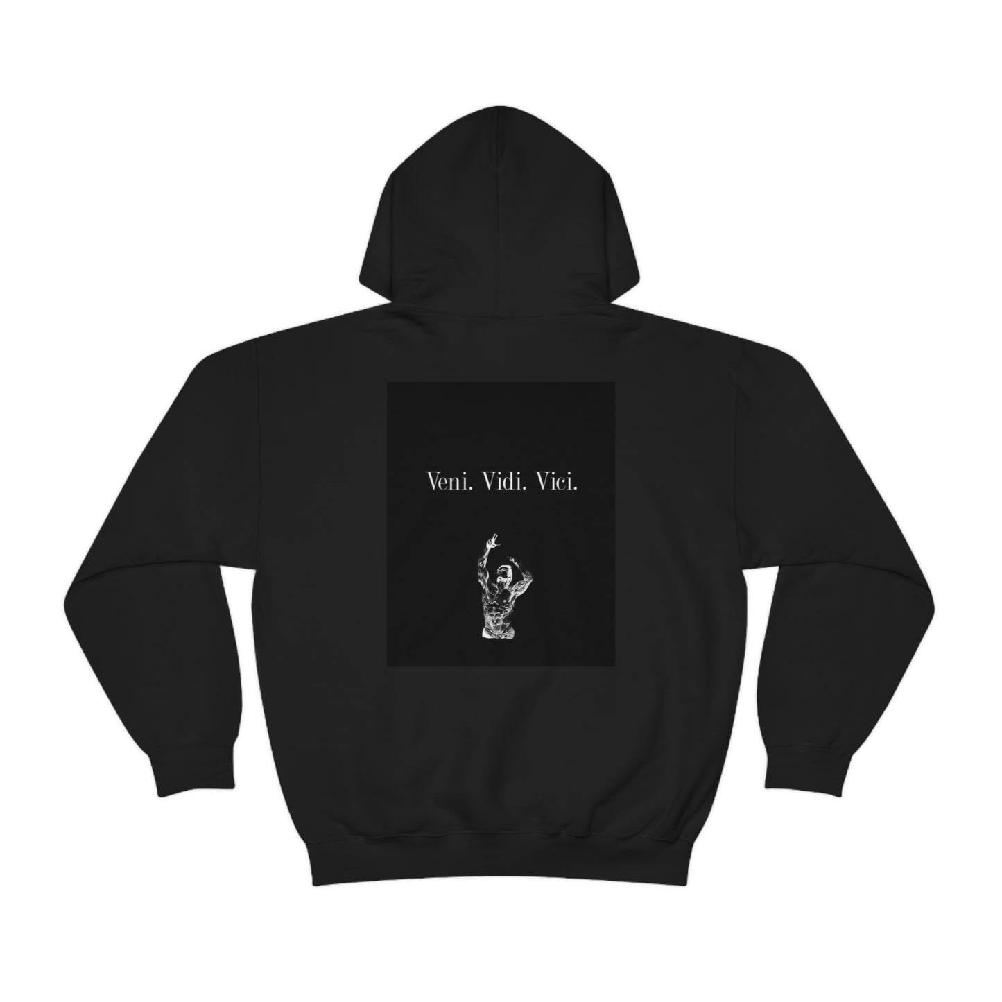 Veni. Vidi. Vici. AOC - Unisex Heavy Blend™ Hooded Sweatshirt