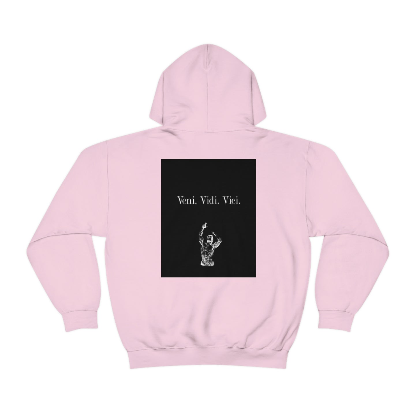 Veni. Vidi. Vici. AOC - Unisex Heavy Blend™ Hooded Sweatshirt