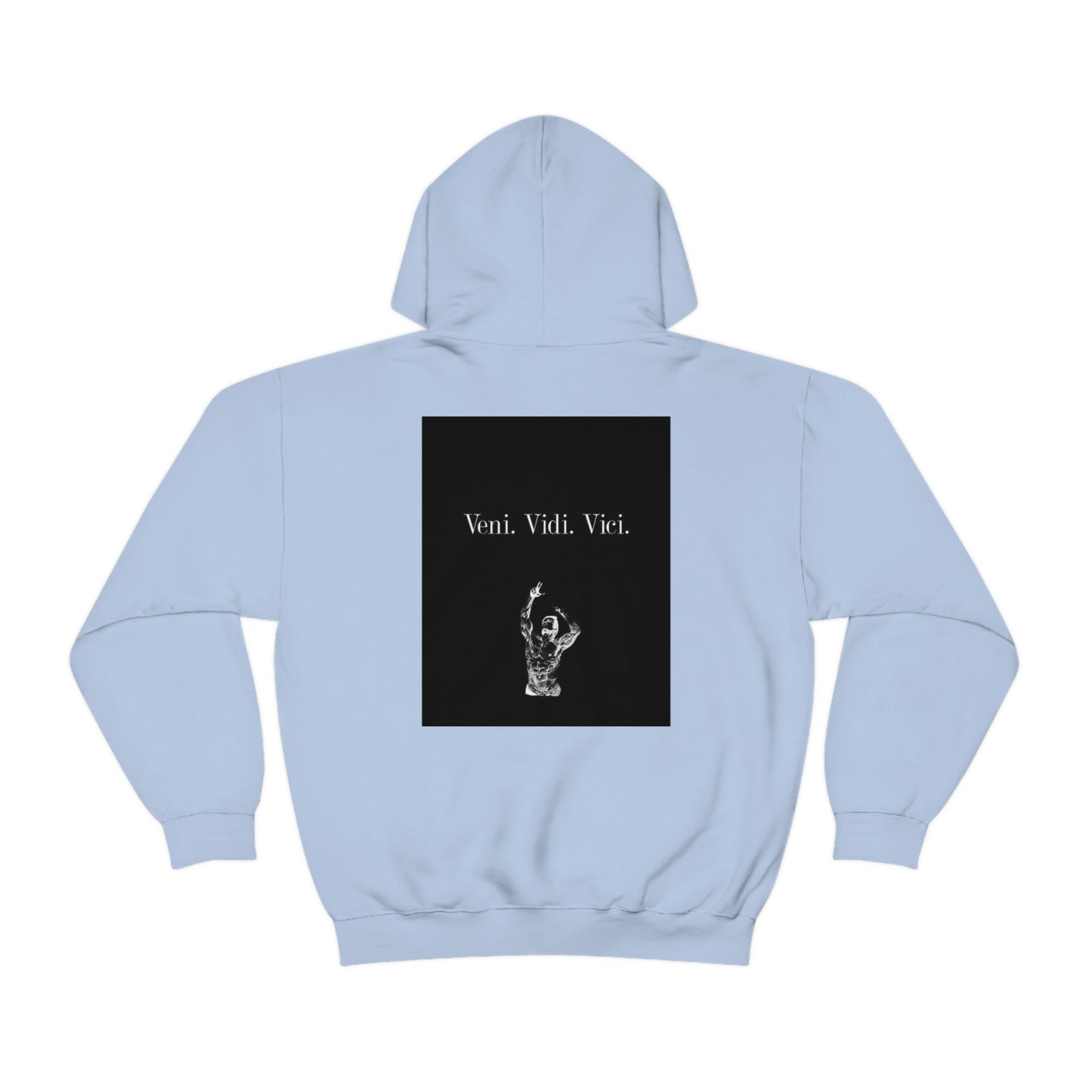 Veni. Vidi. Vici. AOC - Unisex Heavy Blend™ Hooded Sweatshirt